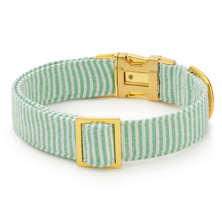 Green Seersucker Dog Collar Dapper The Foggy Dog