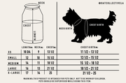LITTLE BEACH BUM Pet Graphic Sweatshirt. OAT COLLECTIVE