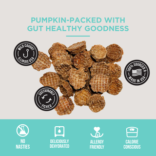 The Only Dehydrated Silver Carp Dogs Need Natural Rapport