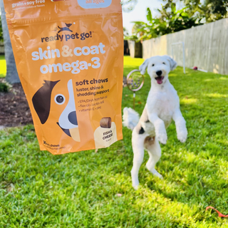 Omega-3 fish oil soft chews for dogs in orange pouch, skin and coat support.