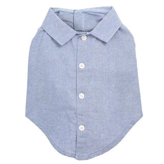 Chambray dog shirt, blue with white buttons, small size