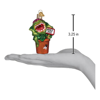 Venus Fly Trap Old World Christmas