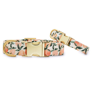 Peaches and Cream dog collar with peach floral pattern and gold hardware