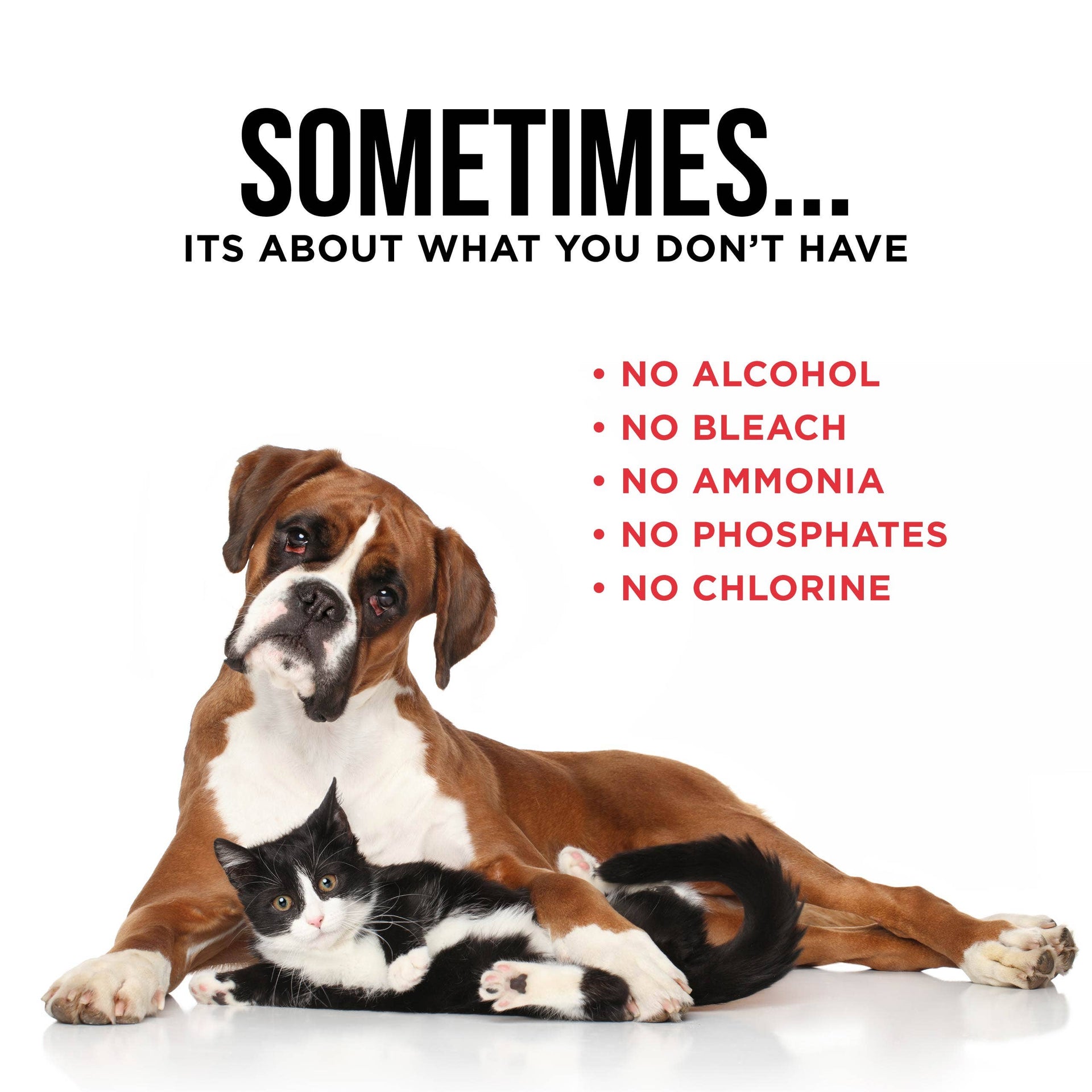 The Only Pet Stain & Odor Remover You Need Natural Rapport