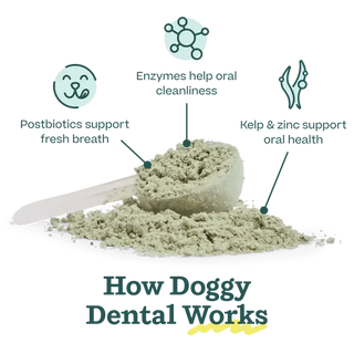 Pupsicle Mix Doggy Dental powder on a scoop; beige powder for dog dental care