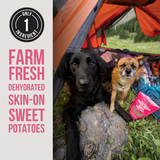 The Only Dehydrated Sweet Potato Bites for Dogs, single-ingredient, farm-fresh skin-on potatoes; two dogs beside a pink treat bag