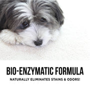 The Only Pet Stain & Odor Remover You Need Natural Rapport