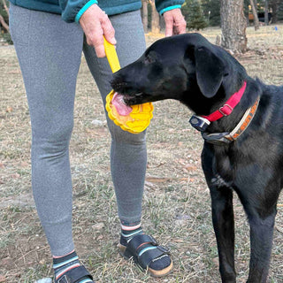 Lick Stick hand-held interactive enrichment toy in bright yellow with a dog licking it.