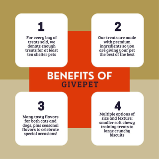 Snowbound Hound Holiday Dog Treats; four info cards arranged around a red cross on a tan background in a festive infographic style.