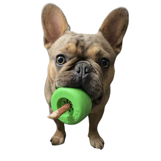 Classic Small dog toy in bright green rubber with a ring design