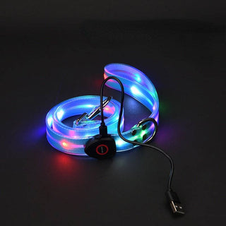 LED dog leash with multicolor LED strip, USB charging cable and black control module