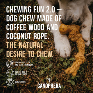 Dog chew made of coffee wood and coconut rope, natural and durable.