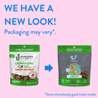 Catnip N Chill Crunchy Cat Treats  Shameless Pets   