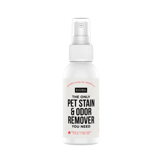 The Only Pet Stain & Odor Remover You Need Natural Rapport 3 ounce