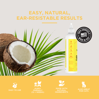 Dapper ear cleaner bottle with yellow label beside a half coconut and palm fronds, USA-made badge