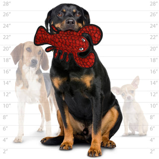 Tuffy Ocean Lobster, Durable, Tough, Squeaky Dog Toy Tuffy Dog Toys - VIP Products