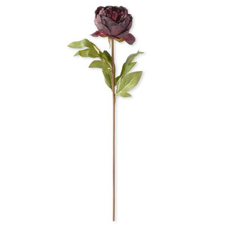Faux Dried Peony Stem K&K Purple