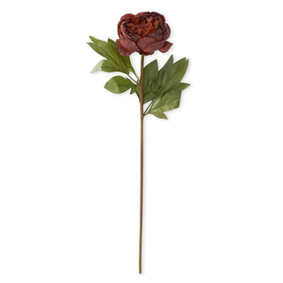 Faux Dried Peony Stem K&K Rust