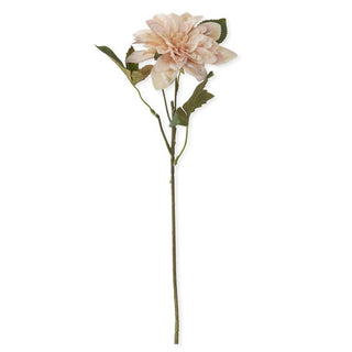 16 Inch Real Touch Dahlia Stem K&K Cream