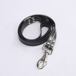 LED dog leash, black leather with metal clasp and rivets