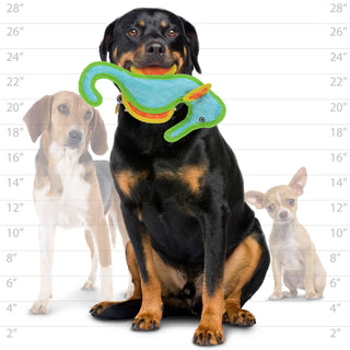 DuraForce Seahorse - Blue, Durable, Squeaky Dog Toy Tuffy Dog Toys - VIP Products