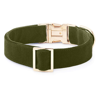 Olive Dog Collar The Foggy Dog