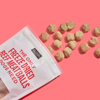 The Only Freeze Dried Beef Meatballs Dogs Need Natural Rapport