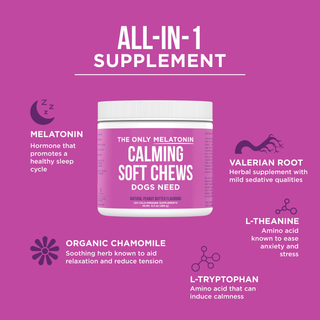 The Only Melatonin Calming Soft Chews Dogs Need Natural Rapport