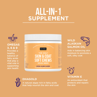 The Only Skin & Coat Soft Chews Dogs Need Natural Rapport