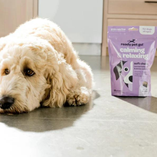 Calming & Relaxing Dog Chews for Anxiety & Stress Relief in a purple pouch beside a golden retriever