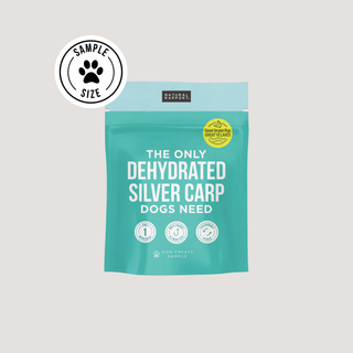 The Only Dehydrated Silver Carp Dogs Need Natural Rapport Sample Size - Approx. 1 oz