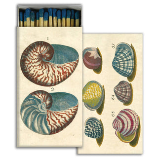 Matches - 18th Century Shells HomArt