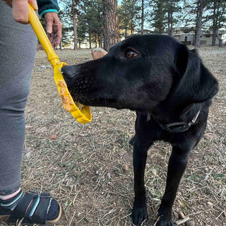 Lick Stick hand-held enrichment toy, bright yellow, used by a black dog outdoors.