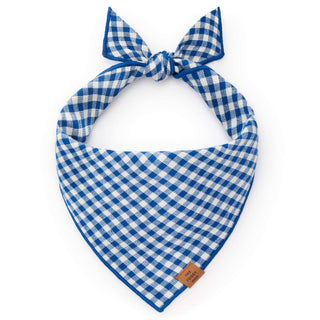 Dog bandana in Lake Blue gingham, dapper style, tied knot, single bandana