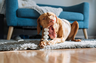 Clean Earth Recycled Hard Chews - Made in the USA Spunky Pup