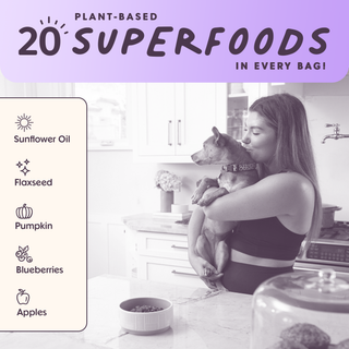 Vibrant Salmon Superfood Dog Food Poultry-Free 4lb; 5 ingredients: sunflower oil, flaxseed, pumpkin, blueberries, apples