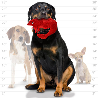 Mighty Ocean Prawn, Plush, Squeaky Dog Toy Tuffy Dog Toys - VIP Products