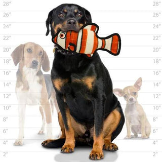 Orange striped fish dog toy, durable squeaky toy held by a black and tan dog with other dogs in the background.