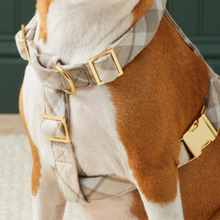 Andover Plaid Flannel Harness The Foggy Dog