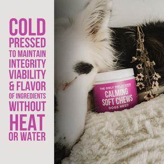 The Only Melatonin Calming Soft Chews Dogs Need Natural Rapport
