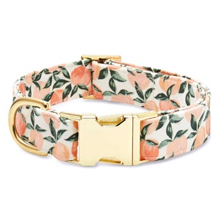 Peaches and Cream dog collar, Dapper floral peach pattern with gold hardware