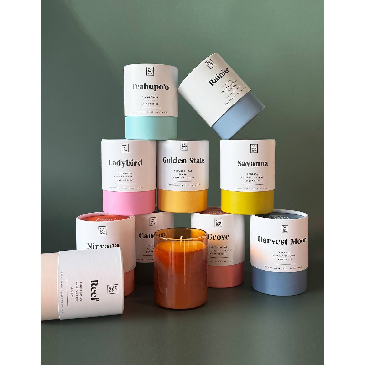 Canopy Medium Candle | 7.5oz BOTANICA