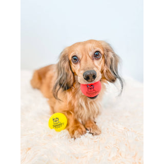 Fetch and Glow Ball dog toy; two colorful balls, red and yellow.