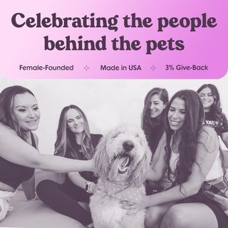 Brave Lamb Superfood Dog Food (Poultry-Free) 4lb Bundle x Joy