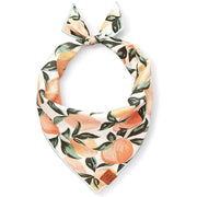 Peaches and Cream Dog Bandana The Foggy Dog Large