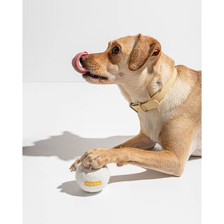 Individual Dog Tennis Balls Wild One