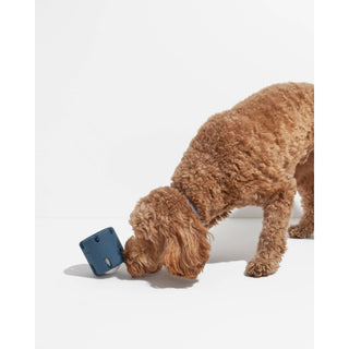 Tennis Tumble Interactive Dog Toy Wild One