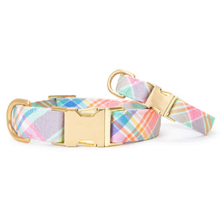 Blooming Plaid Spring Easter Dog Collar Dapper The Foggy Dog