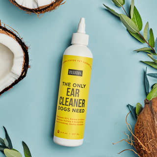 The Only Ear Cleaner Dogs Need Dapper Natural Rapport