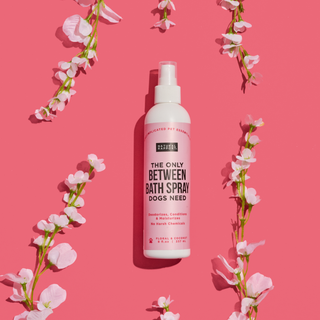 The Only Between Bath Spray Dogs Need - Floral & Coconut Dapper Natural Rapport